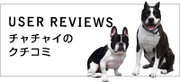 チャチャイのクチコミ