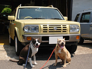 ラシーンオーナー